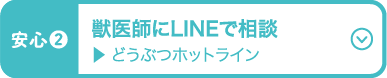 獣医師にLINEで相談 どうぶつホットライン