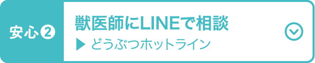 獣医師にLINEで相談 どうぶつホットライン