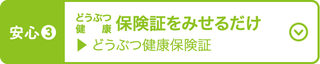 ペット保険証をみせるだけ どうぶつ健康保険証