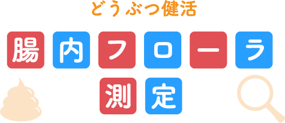 どうぶつ健活 腸内フローラ測定